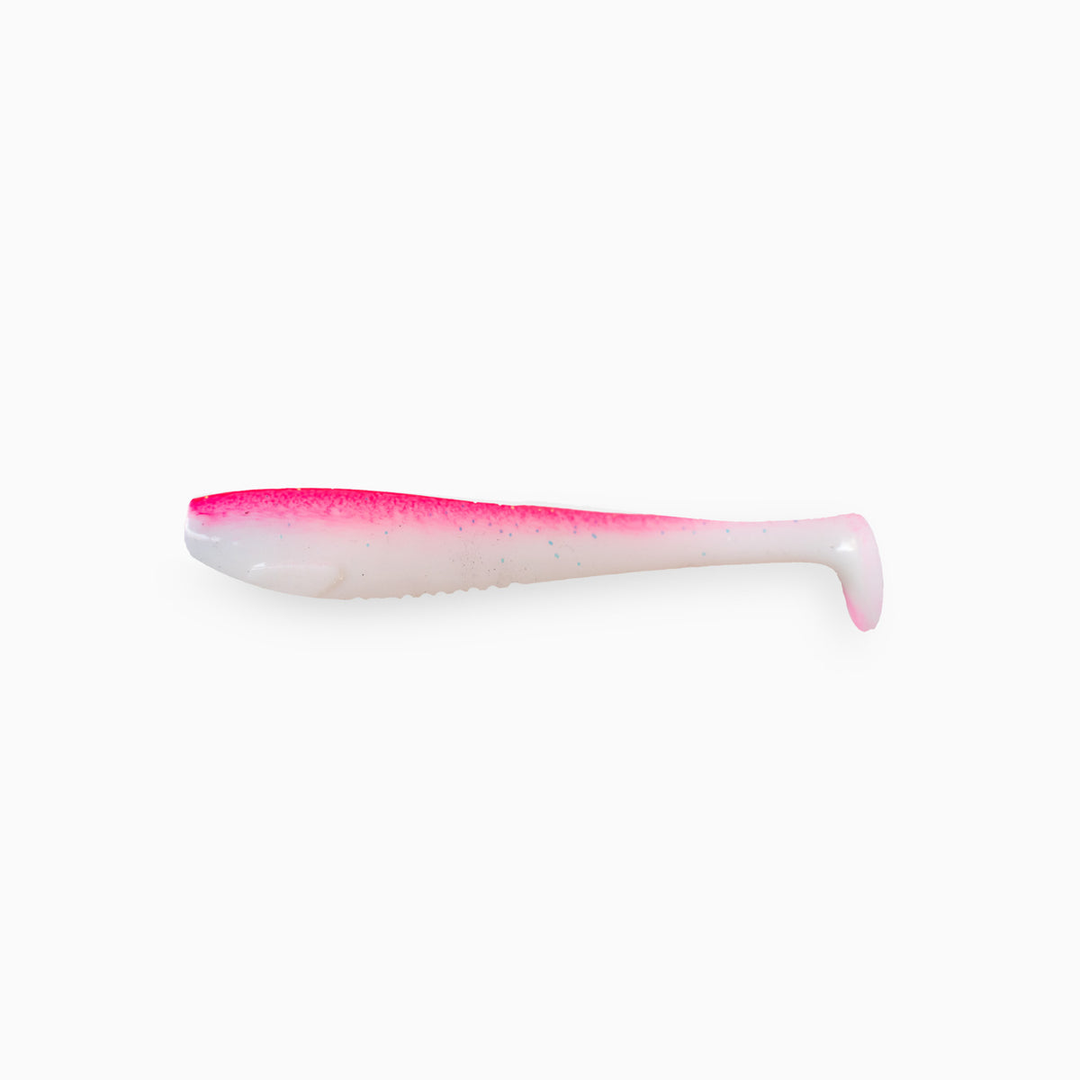 Gau | 10 cm